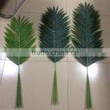 CHY070917 Garden Decoration Foliage Green Petel Leaf/decorative Areca Leaf thumbnail-2
