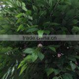 Artificial Banyan Tree for Decoration,fake Banyan Tree thumbnail-4