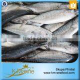 2016 Best Sale Frozen Sarda Sell Fresh Tuna Fish thumbnail-3