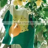 1-6 Years Wholesale 2017 New Girls Knitted Sweater Full Sleeve Pullover Girls Printed Sweaters (pick Size Color ) thumbnail-4