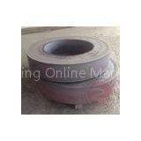 EN10228 Rolled Ring Flange Forged