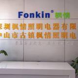 Shenzhen Fonkin Lighting Appliance Co.,Ltd. company overview - view 1 thumbnail