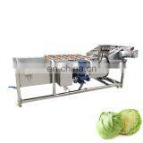 Lavadora de Frutas Vegetables and Fruits Air Bubble Washing Machines Chicken Cleaning Machine thumbnail-2