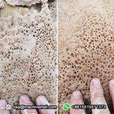 Continuous Automatic Ethiopian Injera Making Machine Factory Price thumbnail-2