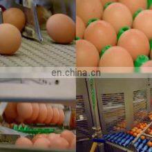 Egg Production Line/ Egg Washing Cleaning Drying Printing Grading Production Line thumbnail-4