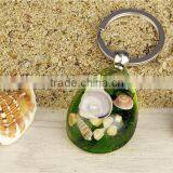Wholesale Real Starfish Key Chain Rings thumbnail-6