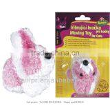 Blister Packaging,blister Card, Blister / TLP13120305