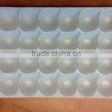 Strawberry Insert Plastic Tray