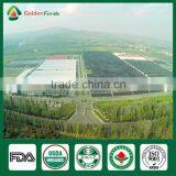 Mushrooms Product Type and Shiitake Mushroom Growing Seed Spawn Log thumbnail-6