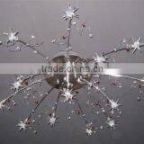 2015 Modern LED Ceiling Lamp/light for Indoor Decoration With CE