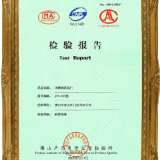 Test Report