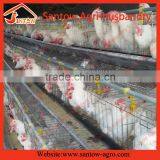 Secure Hot Selling Broiler Chicken Cages Ladder Type thumbnail-1