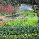 SELF-PRIMING PUMP OSHIMA 300 thumbnail-6