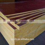 Structural Commercial Construction Plywood thumbnail-1