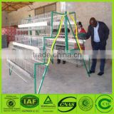 CE certificate chicken layer cage price