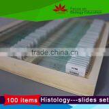 High Quality 100pcs Set Human and Animal Anatomy Tissue Slides