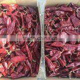 Dried Chilli thumbnail-4