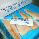 Froze High Quality Alaska Pollock Fish Fillet