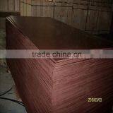 Red Concrete Construction Marine Grade Film Faced Plywood With Brand Name thumbnail-2