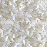Medium Grain White Rice thumbnail-1