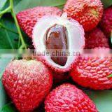 Price of Whole Sale Fresh Lychee From Vietnam thumbnail-2