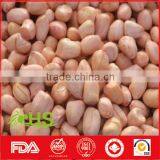 2016 New Crop Fresh Blanched Peanut Kernels thumbnail-2