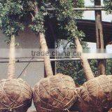 Plain Woven Eco-Friendly Burlap Square 100% Jute Hessian Cloth thumbnail-1