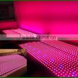 Hot Seller 20w Cheap Indoor Led Grow Lights That Work thumbnail-3