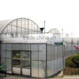 Arch Pipes Poly Multi-span Greenhouse for Vegetables thumbnail-4