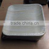 Bio Degradable Plates thumbnail-1