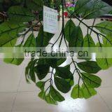 SJ070905 Artificial Longan Leaves for Longan Tree Making/artificial Tree Leave Craft thumbnail-5