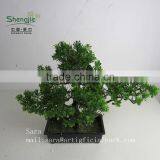 Indoor Bonsai,potted Evergreen Foliage, Decorative Landscape thumbnail-4