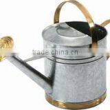 5L High Quality Garden Decoration/ Zinc Flower Planter Pot & Watering Can/ Brass Rosette thumbnail-2