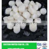 Frozen IQF Scallop Meat thumbnail-1