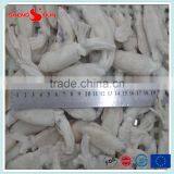 IQF Frozen Baby Loligo Squid thumbnail-2