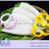 Frozen Squid Tube - Clean Tube thumbnail-2