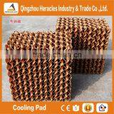 QingZhou Trade Assurance Poultry Farming Equipment Honey Comb Evaporative Cooling Pad thumbnail-6