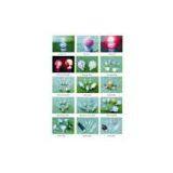 China (Mainland) Bulbs Item thumbnail-1