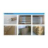 Indoor Lighting 1780Lm LED T8 Tube Light 120 20W 1200mm CE Approved