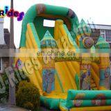 Inflatable Water Slides Wholesale for Kids