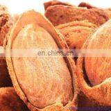 Almond Nut Sheller Shelling Machine For Sale thumbnail-7