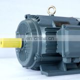 Excellent Quality high rpm YE2 series cast iron three-phase electric water pump motor 90L-2 made in China