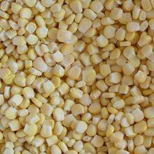 Frozen Sweet Corn thumbnail-1