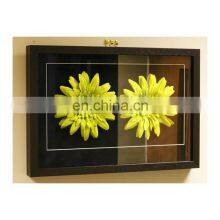 High Transparent AR Coating Anti Non Reflective Glass for Display Screen Protector