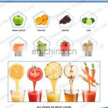Industrial Fruit Juice Squeezer Grape Juice Extractor Machine thumbnail-2