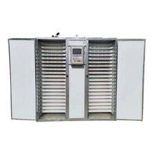 Energy-Efficient Vegetable and Fruit Dryer Featuring Low Power Consumption and Digital Controls thumbnail-3