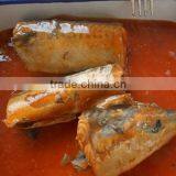 Good Taste Canned Mackerel in Tomato Sauce High Quality thumbnail-1