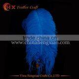CHINA HX Factory Wholesale Hight Quality Bulk Ostrich Feathers for Sale thumbnail-2