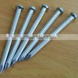 Grooved Concrete Nails Factory