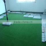 Xiamen Haisongfu Imp & Exp Co., Ltd. company overview - view 2 thumbnail